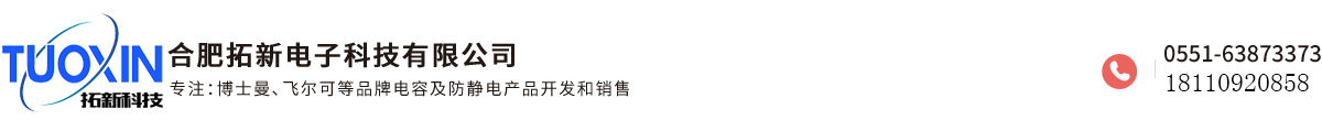 合肥拓新電子科技有限公司
